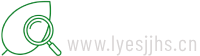 叶搜手游网